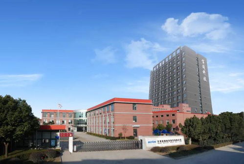 胡潤(rùn)中國(guó)元宇宙潛力企業(yè)榜,高新區(qū)3家企業(yè)入選