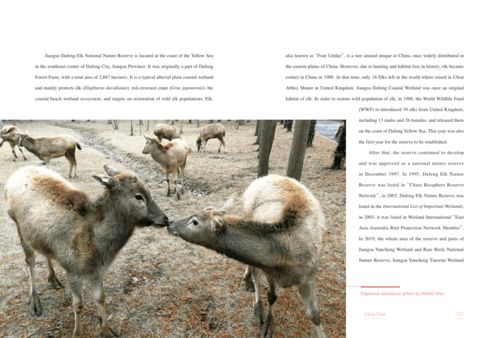 保護(hù)生物多樣性丨醫(yī)藥領(lǐng)域的技術(shù)開發(fā) 中觀自然啟示與雙語深讀